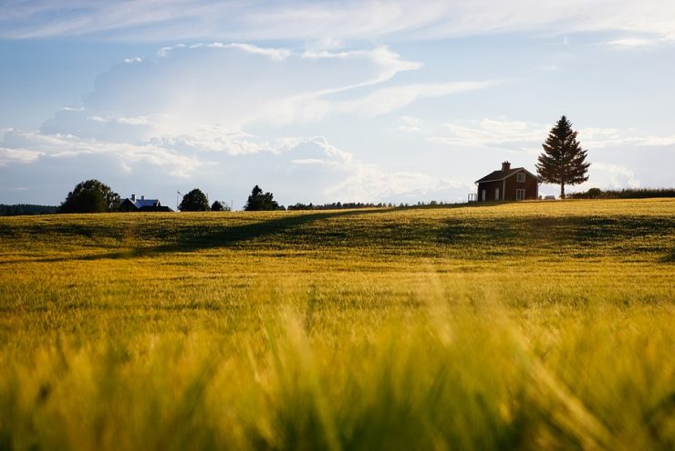 Affittare un terreno agricolo