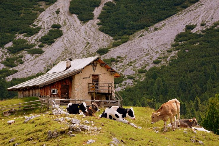 Affitto baita in montagna