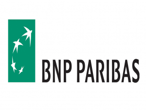 bnl logo