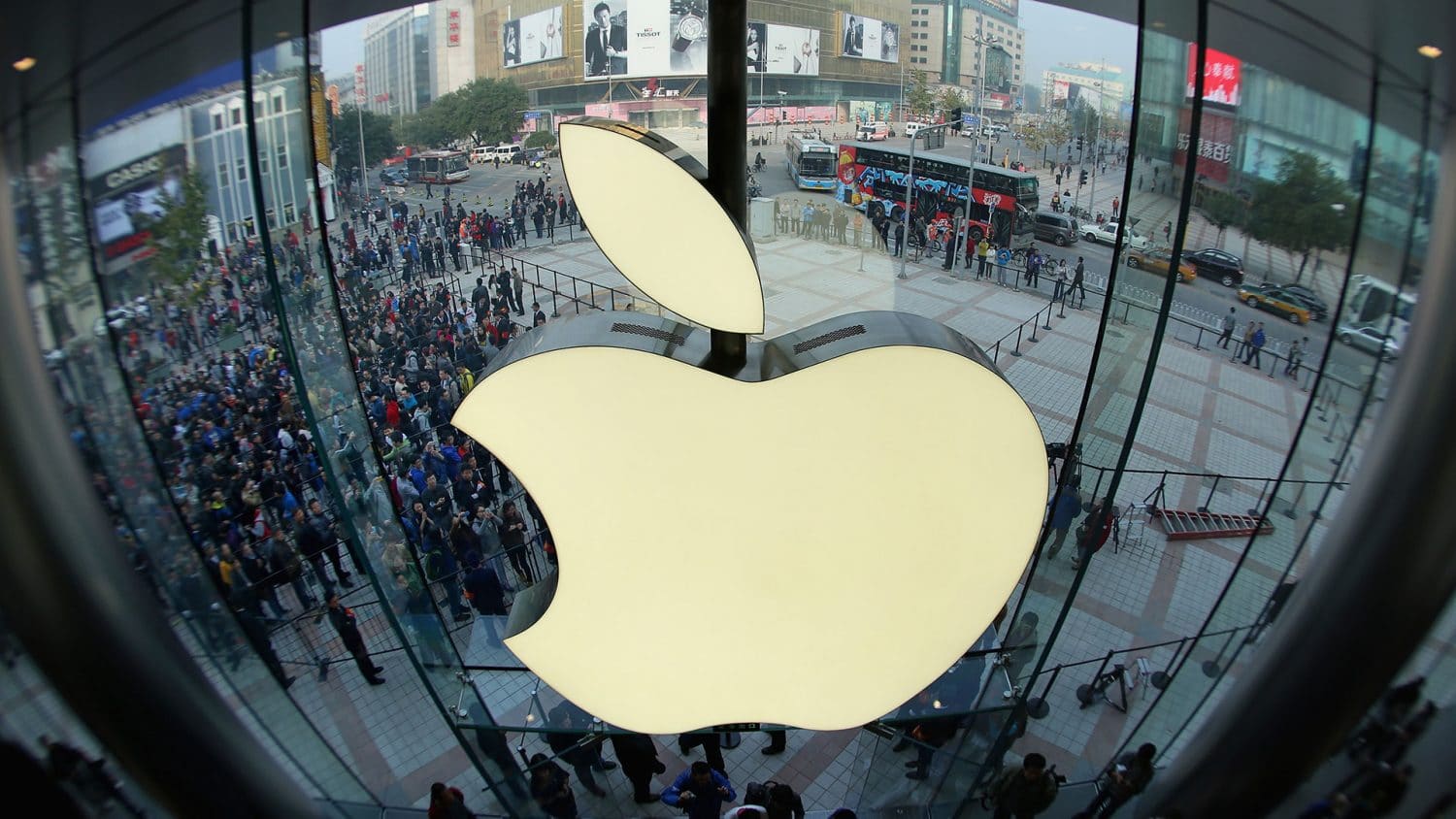 Azionisti Apple: chi sono, quanto guadagnano e chi è il maggiore azionista
