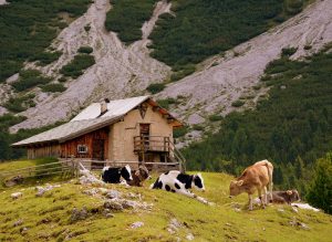 Affitto baita in montagna